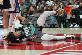 Kings Trail Blazers Basketball