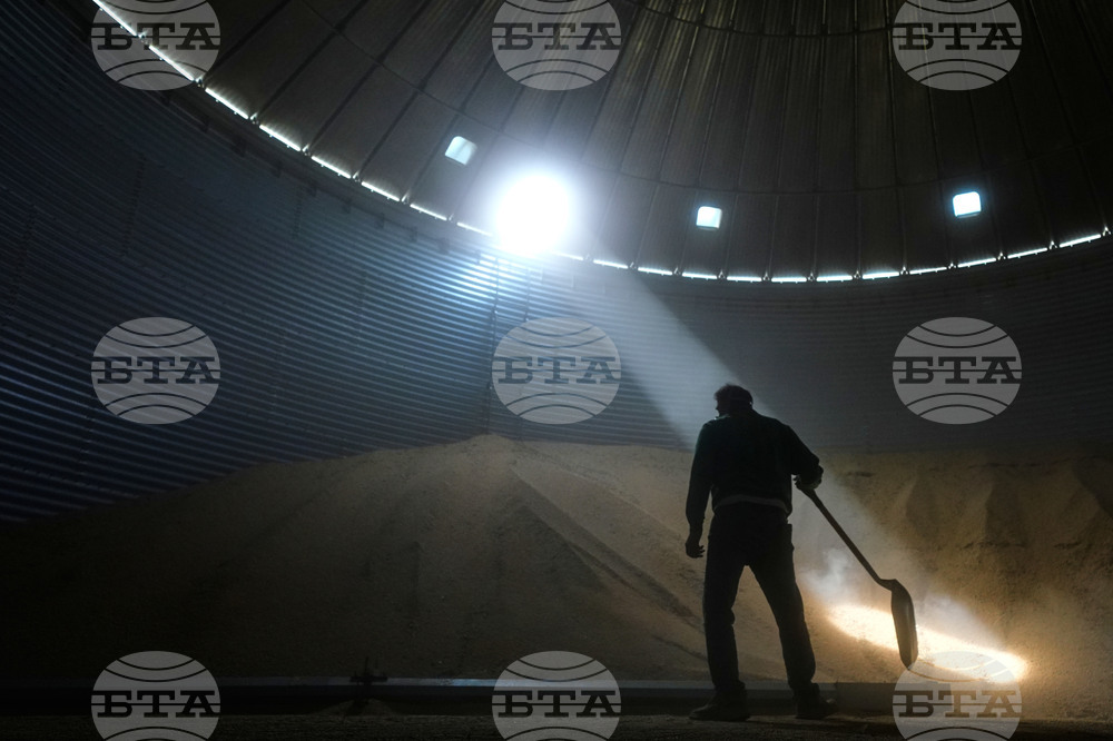 APTOPIX Soybean Farmers Tough Times