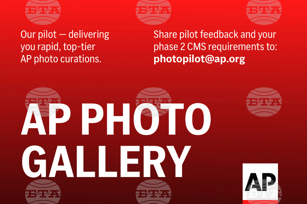 Photos of the Day