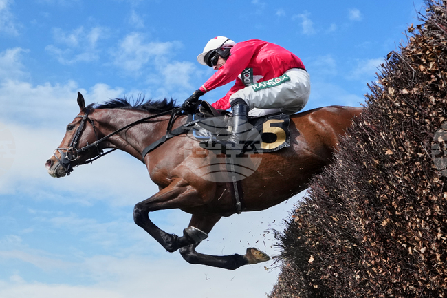 APTOPIX Britain Grand National Horse Racing