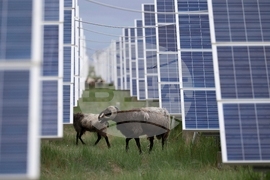 Iran Asia China Renewable Energy