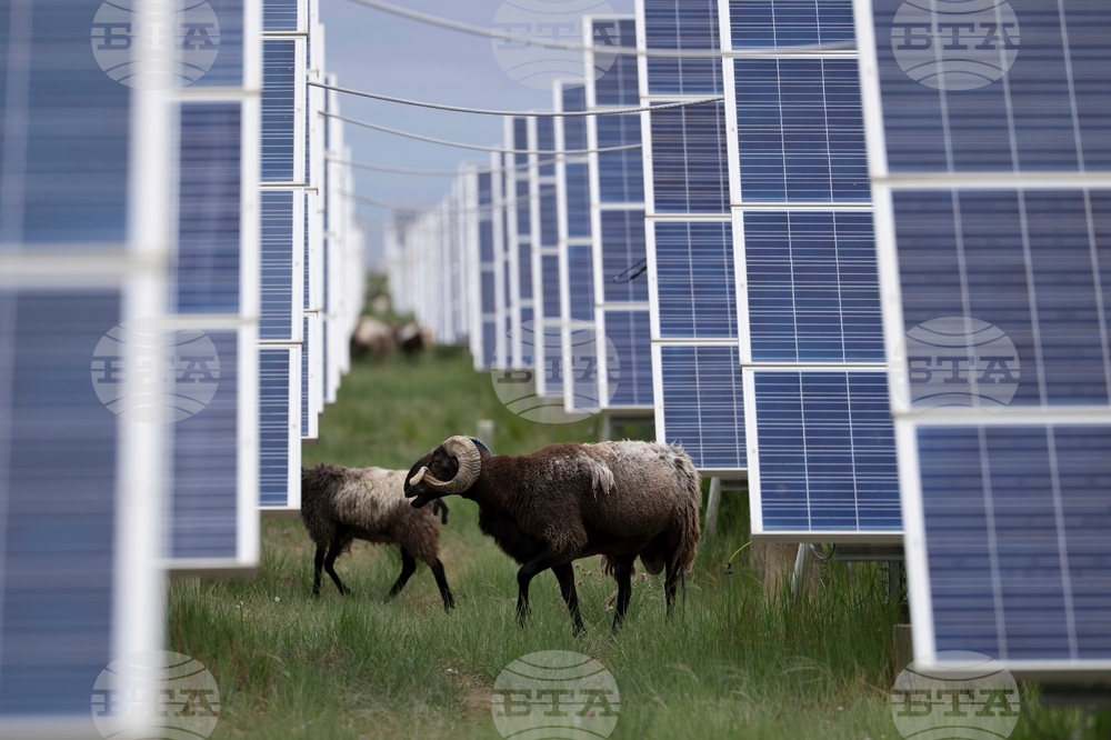 Iran Asia China Renewable Energy