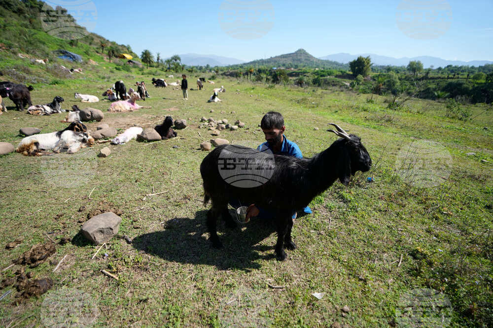 India Nomads Daily Life