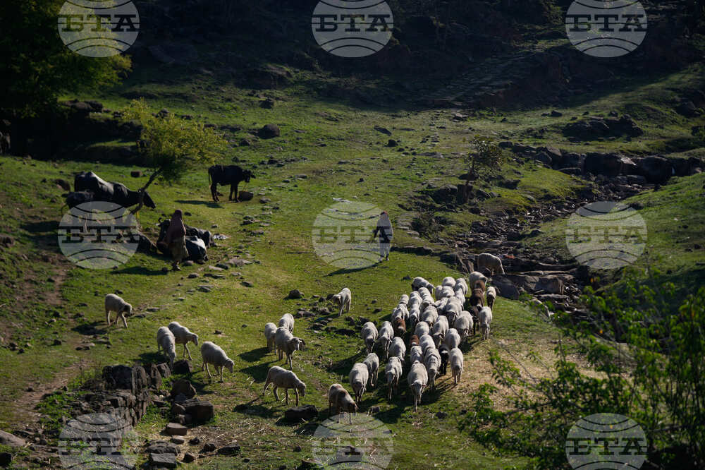 India Nomads Daily Life