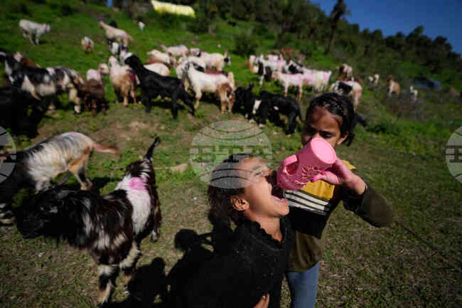 APTOPIX India Nomads Daily Life