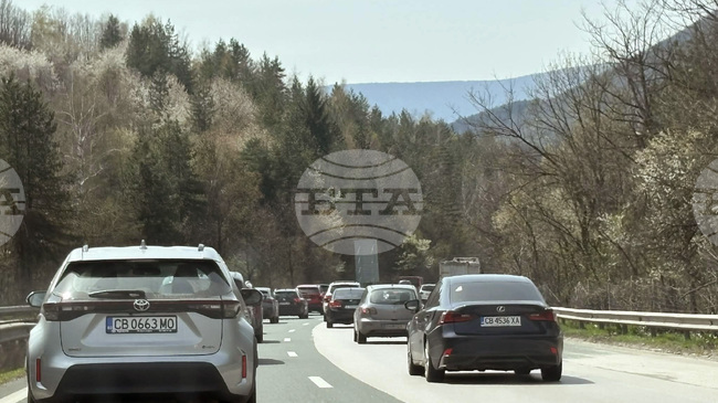 Възстановено е движението в тунел „Витиня“ на АМ „Хемус“ в посока София, където по-рано аварира камион 