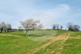 Село Божурка - ориентиране - „Купа Великден“