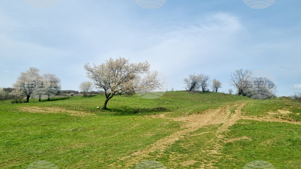 Село Божурка - ориентиране - „Купа Великден“