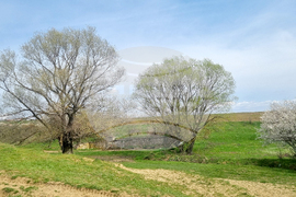 Село Божурка - ориентиране - „Купа Великден“