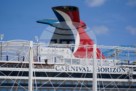 Cruise Ship Stepsister Killed