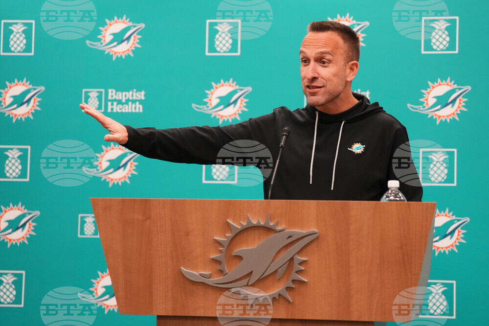 Dolphins Hafley Football