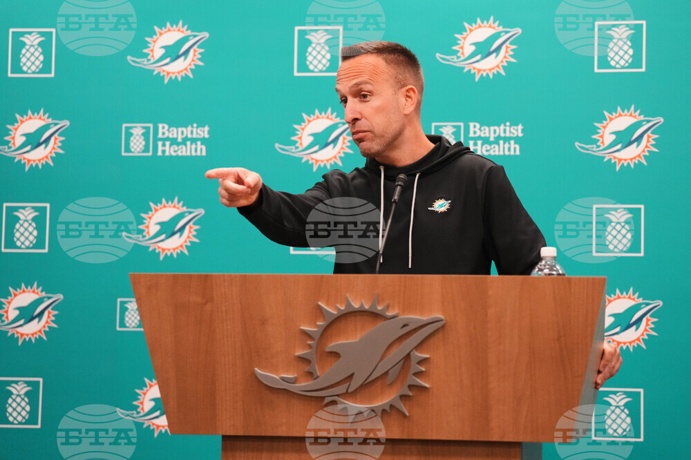 Dolphins Hafley Football