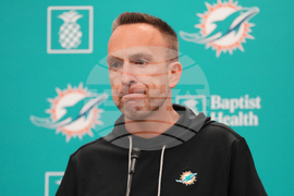 Dolphins Hafley Football