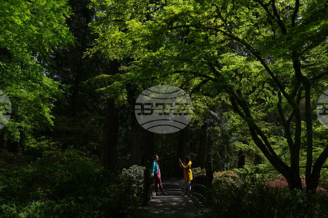 APTOPIX Oregon Daily Life