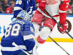 Red Wings Lightning Hockey