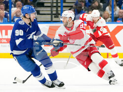 Red Wings Lightning Hockey