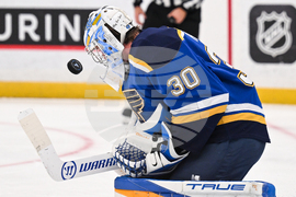 Wild Blues Hockey