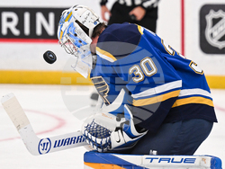Wild Blues Hockey