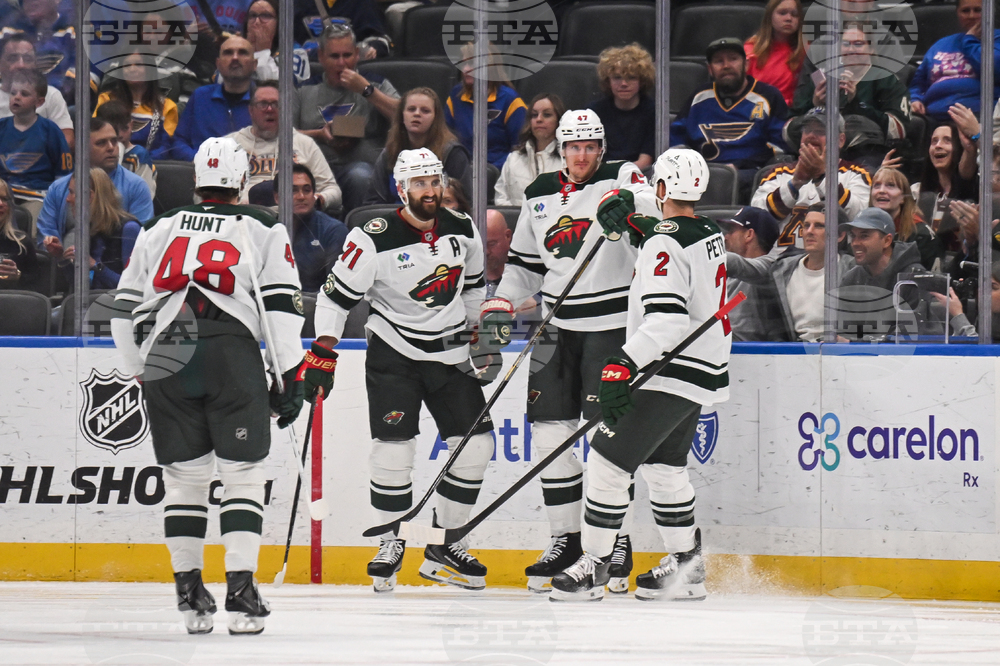 Wild Blues Hockey