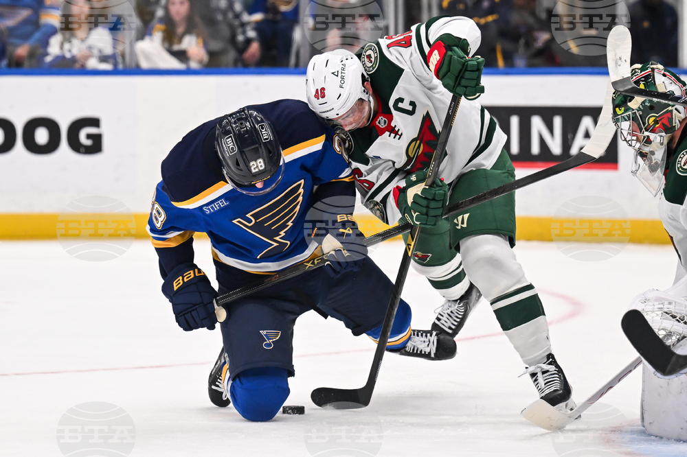Wild Blues Hockey