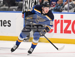 Wild Blues Hockey