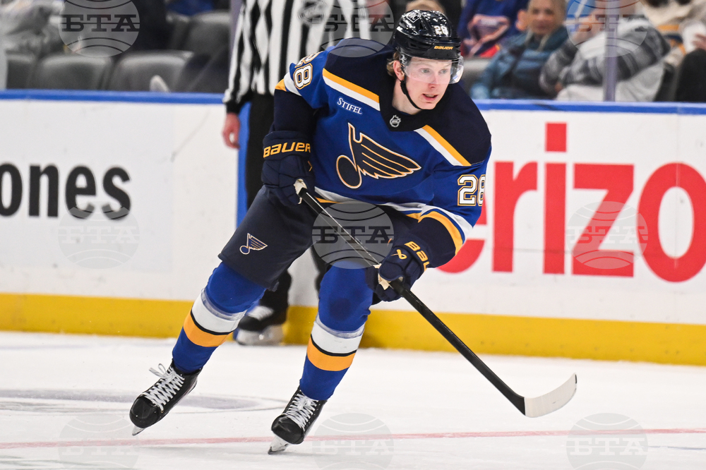 Wild Blues Hockey