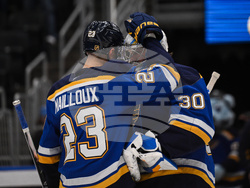 Wild Blues Hockey