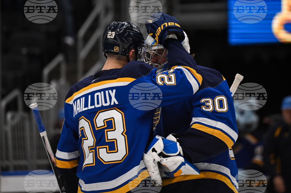 Wild Blues Hockey