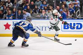 Wild Blues Hockey