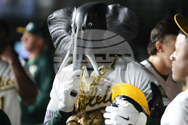Rangers Athletics Baseball