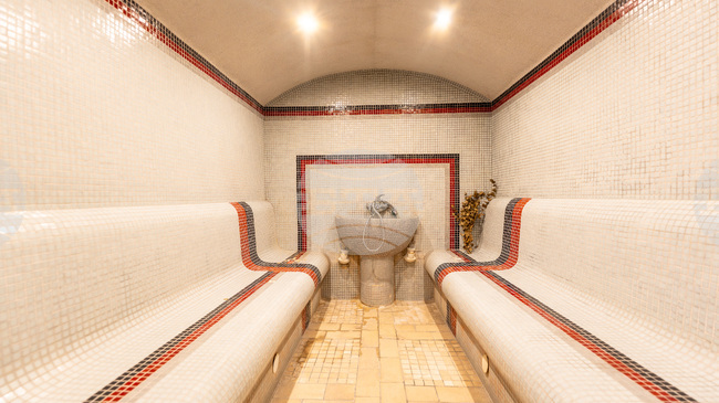 SPA Hotel Dvoretsa to Undergo Complete Renovation over Next Year and Half