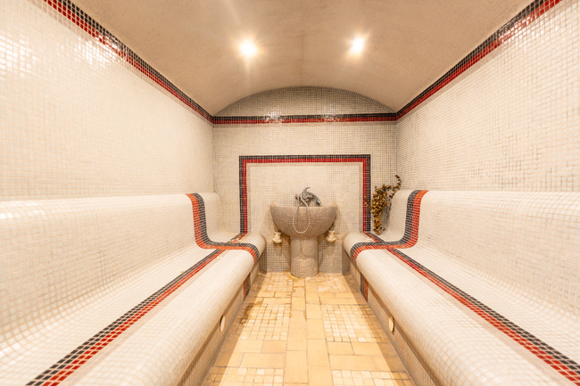 SPA Hotel Dvoretsa to Undergo Complete Renovation over Next Year and Half