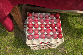 Роженски манастир - честване на чудотворната икона „Света Богородица Портаитиса“