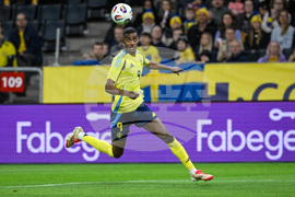 WCup Group F Preview Soccer