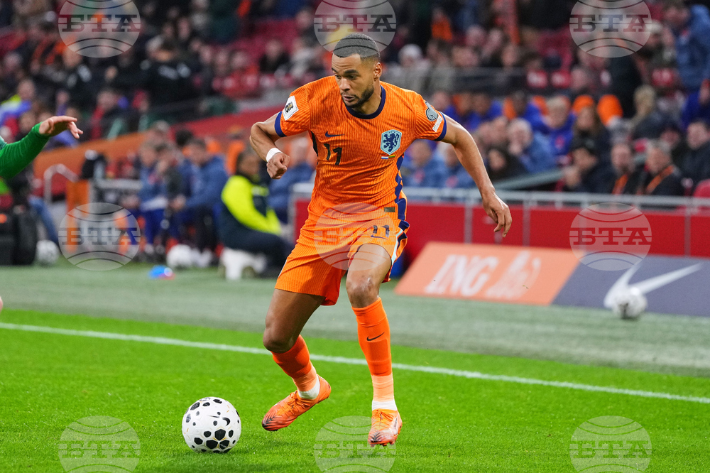 WCup Group F Preview Soccer