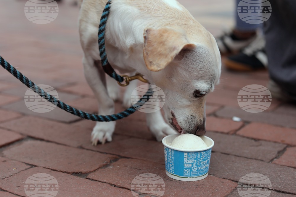 US Ben & Jerry's Protest Explainer