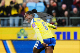 Sweden Denmark Women's WCup Soccer
