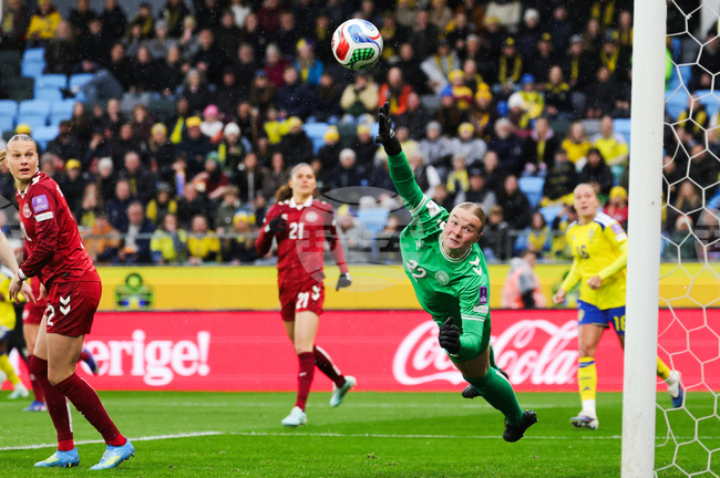 WCup Sweden Denmark Soccer