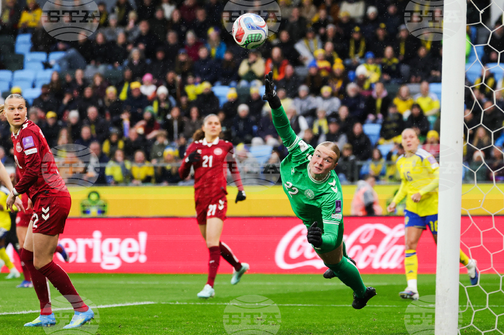 WCup Sweden Denmark Soccer
