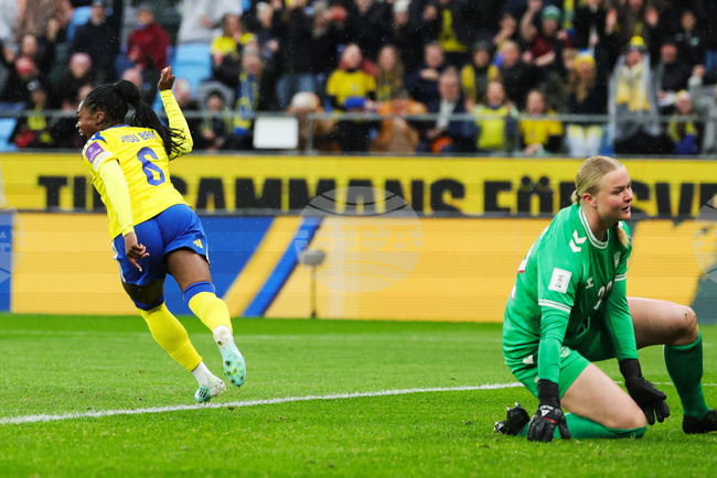 Sweden Denmark WCup Women's Soccer