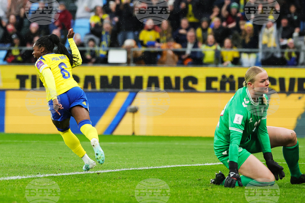 Sweden Denmark WCup Women's Soccer