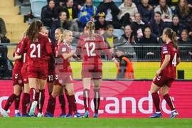 Sweden Denmark WCup Women's Soccer