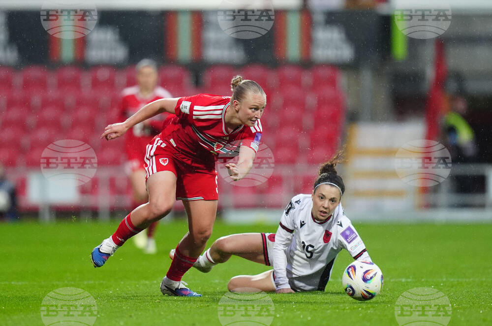 WCup Wales Albania Soccer