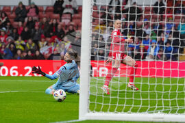 WCup Wales Albania Soccer