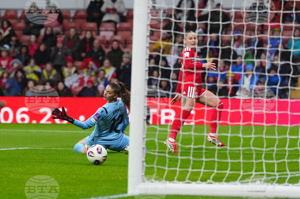 WCup Wales Albania Soccer