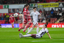 WCup Wales Albania Soccer
