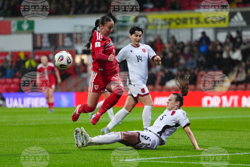 WCup Wales Albania Soccer