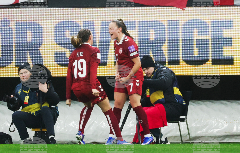 WCup Sweden Denmark Soccer