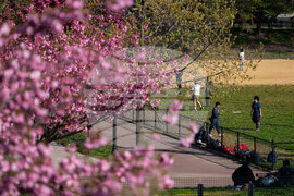 New York Daily Life