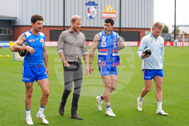 Australia Royals